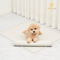 카라즈펫 논슬립 실리콘 안심 배변매트 배변판 방수 화장실, 1개, 실리콘안심배변매트(대형)