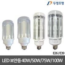 두영 LED투명보안등 40W/50W/75W/100W LED보안등 4종, 75W, E39