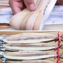 2023 산지직송 구룡포 갈치 싱싱한 반건조 풀치 16미, 1개