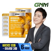 GNM자연의품격 종합비타민 미네랄15, 2개, 90정