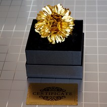 cocooning 부모님 스승 어린이집 포장 고급 골드 황금 카네이션 도금 브로치
