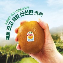 제스프리 썬골드키위 대왕점보 4.3kg 28입내외/개당150g내외의 크고신선한 골드키위, 1개