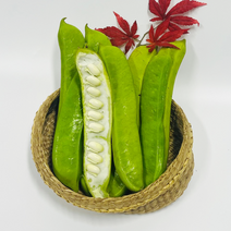 국산 햇 생 작두콩 2kg 4kg, 02.생 작두콩 4kg, 1개