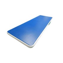 체육관 에어매트 줄넘기 운동용품 태권도 연습용, 2x1미터 (펌프 포함)