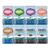 [샘플사료] 웰츠 캣 키튼 어덜트 올라이프 연어 오리 헤어볼 저지방 인도어 40g 400g, [22-7] 저지방 40g