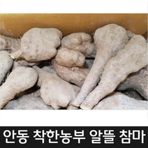 안동참마 알뜰 10키로(23년 햇마 수확했어요 섞어드림)