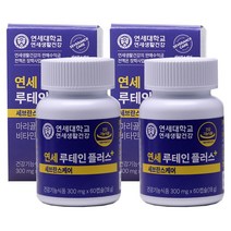연세 루테인 플러스 눈건강 눈영양제 비타민 지아잔틴, 60정, 2개