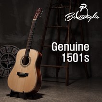 벤티볼리오 Genuine1501s / Bentivoglio Genuine1501s / 장범준 기타, 픽업추가