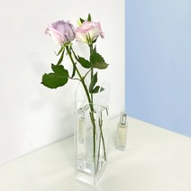 리프 심플 아크릴 컬러 꽃병, 투명