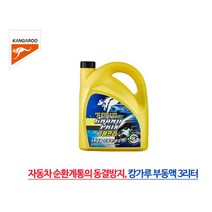 동결 부식방지 냉각수 사계절 자동차부동액 3L 비엠 쉐보레, 상세페이지참조
