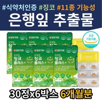 식약처인증 은행잎 진코 비타민미네랄 11종복합기능성 종합비타민B군 플라보놀배당체 고함량 징코 GMP 인정 수험생 고3 직장인 중년 노인 시니어 60대 70대 80대 영양제