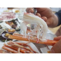 믿음수산 대게 홍게 선주가 직접 작업하는 대게와 홍게 입니다., 대 450g이하 수율(다리 70% 몸통 60%), 대 450g이하 수율(다리 70% 몸통 60%)