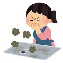 위드바이오 세정제 (싱크대 세면대 배수구 냄새 및 막힘 제거 물 때 방지)