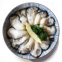 산지직송 살이 통통 최상급 통영 생굴 1kg (오후2시 이전 주문건 당일 발송), 1개