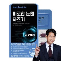 뉴트리원 피로한 눈엔 차즈기 600mg 기능성원료 눈 건강기능식품, 30정, 1개