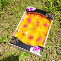 황도 백도 천도 털복숭아 말랑한복숭아 딱딱이복숭아 선물용 특등급 1박스, 백도 복숭아 4kg 1박스, 1개