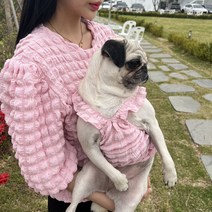 [당일출고] 여름 봄 반팔티 강아지 견주 커플룩 개플룩 (견주용) 2color