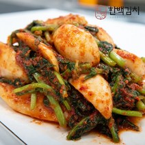 제주한백 국산 알타리 총각김치 1kg 2kg 3kg, 01_알타리 총각김치 1kg