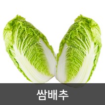 약수농장 국내산 알배기 쌈배추 8kg 내외 특품 12포기, 1박스