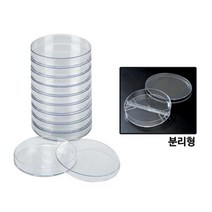 과학실 실험실 연구실용 플라스틱 샬레 연구수업 과학수업 연구기자재 실험기자재 과학교구 실험수업, 1개, A형