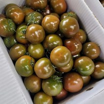 국산 프리미엄 흑토마토 2kg 4kg, 1개