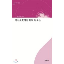 각시붓꽃처럼 터져 나오는, 곰곰나루, 9791196850272, 이정화 저