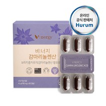1+1//120캡슐 감마리놀렌산 보라지꽃종자유60캡슐 갱년기건강 달맞이꽃종자유, 5셋트, 2개
