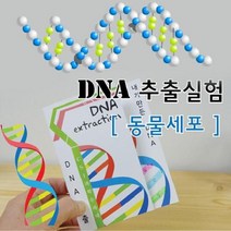 [JS] DNA 추출법 동물세포 10인용 HS ( JS 92000EA ), 본상품