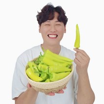 지리산 정기 받은 우수농산물 GAP 인증 신선함 당조고추, 3kg, 1개