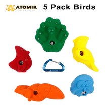 아토믹 홀드5 Pack Birds 인공암벽 실내암장 등산 볼더링