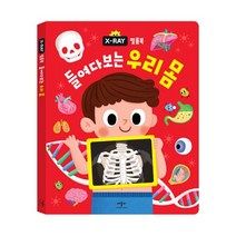 애플비 X-RAY 필름북 들여다보는 우리 몸/사운드북/유아도서/인성도서/플랫북/한글공부동화책 2023정품