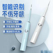hOME덴탈클리닉도구 소닉 치석 제거기 구취에방 울트라 청정 치신기, 【하이패키지】달빛화이트+작업헤드x3+치약