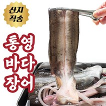 통영 손질 바다장어 구이용 자연산바다장어 붕장어 아나고 1kg, 바다장어 중사이즈 3kg (12~15미내외)