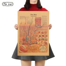아트백 스케치북 가방 화구 미술 TIE LER 레트로 인체 피부 구조 다이어그램 표면 신경