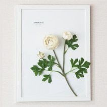 인테리어액자 벽장식소품 조화 입체 테이블장식 이앤 장식액자 몬스테라잎 라넌큘레스 아레카야자잎, 2화이트라넌큘러스 꽃(A3)