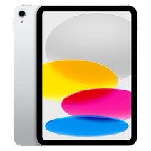 애플 아이패드 10세대 27.5cm WiFi 64GB / 256GB (관부가세포함_미국정품), 10세대 64GB-실버