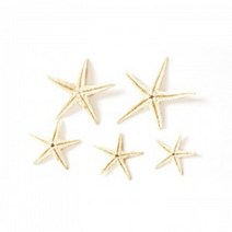 허브인 소이캔들 만들기 젤 캔들재료 DIY, 불가사리혼합20개