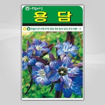 슬로시 꽃 씨앗 모음 꽃씨 허브 허브씨, 용담1000립(아람)