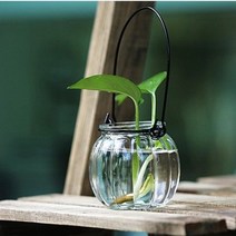 1+1 테라리움 유리병 유리꽃병창의 호박 샹들리에 투명 유리 수배 꽃꽂이 용기 철선 손잡이 샹들리에 꽃병 공장 도매나무 트레이, 호박.