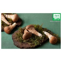국내산친환경무농약 참송이 버섯 100g 1팩 3팩 5팩