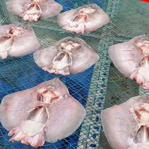 자연산 반건조 간재미 1kg 국내산 갱개미 가오리, 1kg (2~4미)