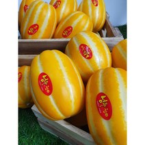 산지직송 달콤 성주 꿀 참외 가정용 2kg/3kg/4kg/5kg/10kg, 가정용 혼합 1.5kg