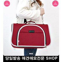애견캐리어 강아지캐리어 외출 고양이장거리 반려견택시 펫이동가방, S