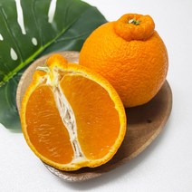 제주 신품종 써니트 한라봉 (가정용) 3kg(12과/15과내외) 진한빛깔에 맛과 향도 진한 제주한라봉, 가정용 3kg(중대/12과내외)