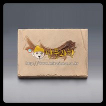 (밥풀)물고기화석(Bony Fish 브라질 전시용화석)/KSIC-5257