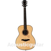 초급 전문가 어쿠스틱 기타 MS10S