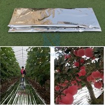 100cm 너비 실버 정원 야채 멤브레인 과수원 사과 나무 식물 색상 멀칭 온실 더블 사이드 마일 라 반사 필름, 1mx50m_4