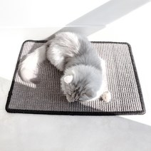 에코펫위드 고양이 스크래쳐 매트 60 x 40 cm