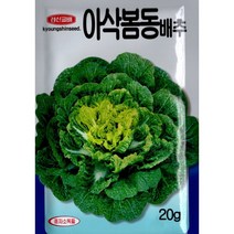 (씨앗) 아삭 봄동배추 - 아삭하고 고소한 맛이 좋은 봄동 배추 씨앗 종자 - 20g