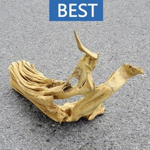 유목 대형 54.1cm 국산